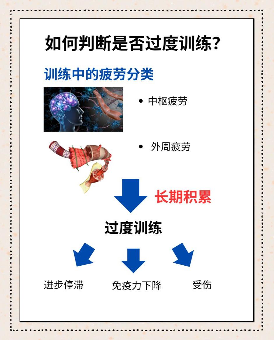 摩洛哥瓦赫达外援训练状态火热，世俱杯淘汰赛关键战