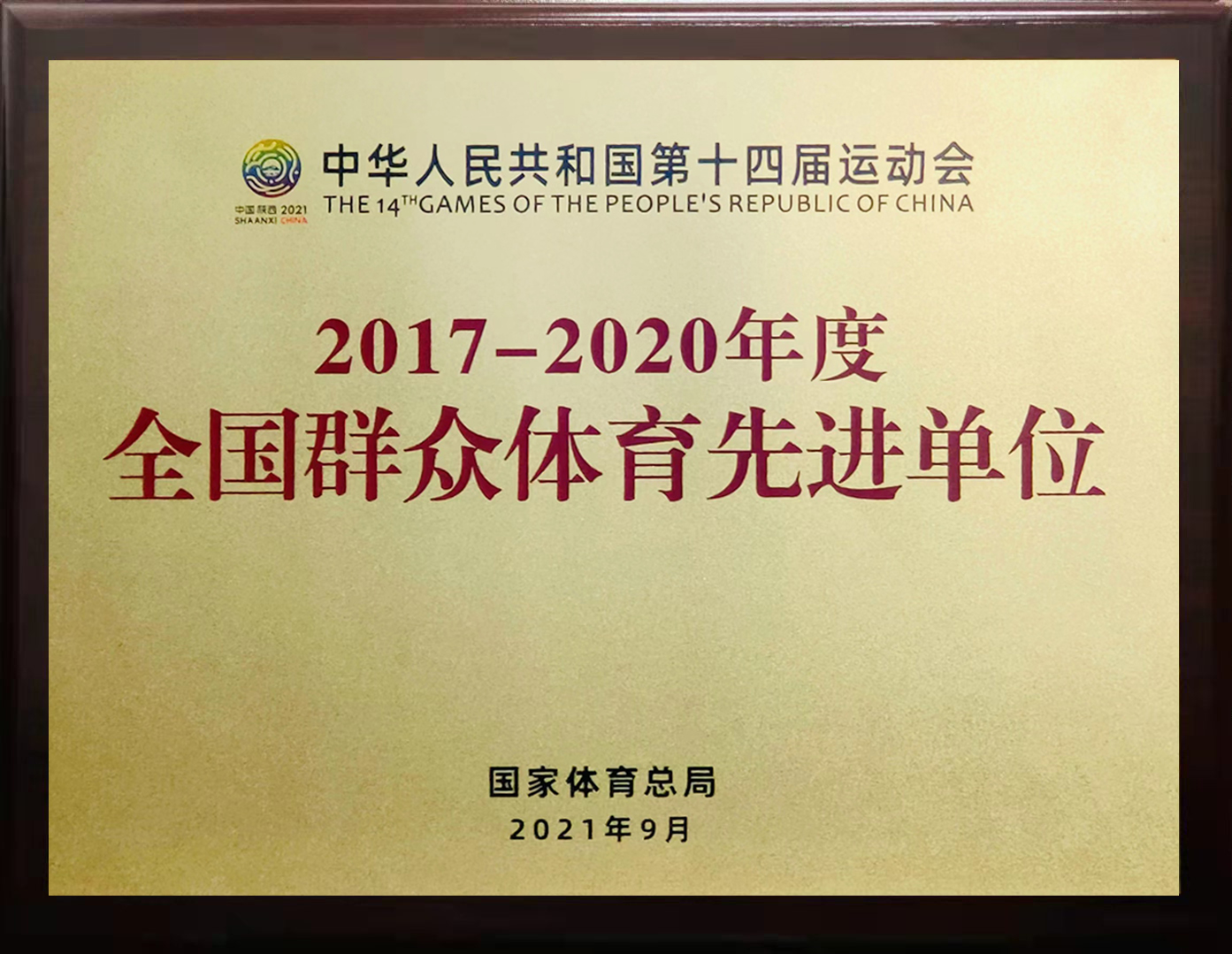 浙江队通过团队合作取得胜利