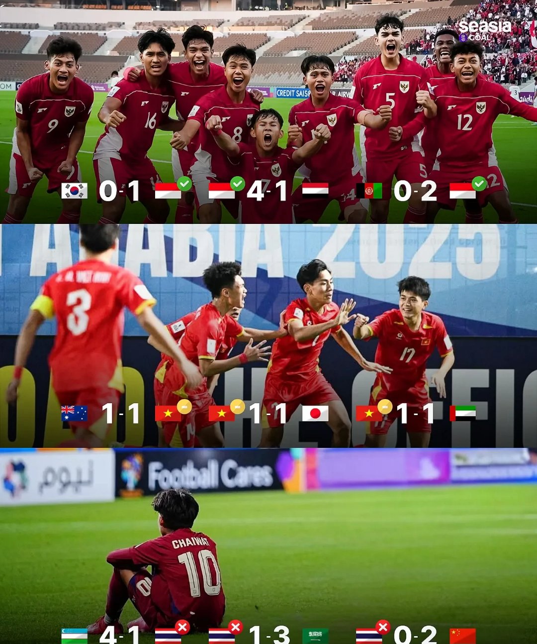 东南亚盃半决赛，泰国队夺冠